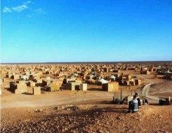 الدار البيضاء اليوم  - وزير الخارجيَّة الإسباني يؤكد أن لََا يمْكننا أن ندع النزاع في الصحراء يستمر لخمسة عقود أخرى