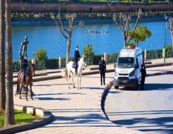 الدار البيضاء اليوم  - حجز كمية من الكوكايين على متن شاحنة قادمة من إسبانيا في ميناء طنجة