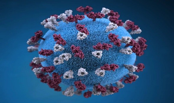 الدار البيضاء اليوم  - روسيا تُسجل أول لقاح أنفي لفيروس كورونا في العالم