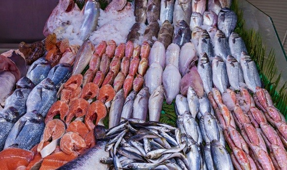 الدار البيضاء اليوم  - 8 أسباب علمية تدفعك لتناول الأسماك بانتظام في فصل الشتاء