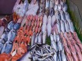 الدار البيضاء اليوم  - مركّب في نوع من الأسماك يحفز تطور السرطان