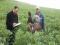 الدار البيضاء اليوم  - برنامج المثمر يرفع هامش ربح منتجي الزيتون بـ32 في المائة