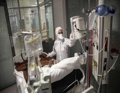 الدار البيضاء اليوم  - نجاح أول عملية في العالم لزرع خلايا جذعية بشرية داخل النخاع الشوكي بجهود يابانية
