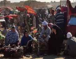 الدار البيضاء اليوم  - دعم مالي أوروبي يُقدر بـ 100 مليون دولار لتأمين الموقف الغذائي في مصر