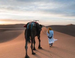 الدار البيضاء اليوم  - بريطانيا تُخطط لإنشاء واحدة من أكبر مزارع الطحالب في الصحراء المغربية