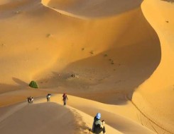 الدار البيضاء اليوم  - قطر تجدد التأكيد على دعمها لسيادة المغرب على صحرائه