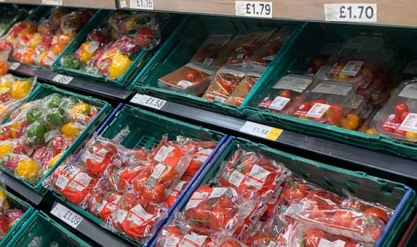 المغرب يرفع حجم الصادرات من الطماطم نحو بلدان الاتحاد الأوروبي