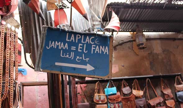 الدار البيضاء اليوم  - السلطات المغربية تكشف الوضع الصحي لقرود ساحة جامع الفنا في مراكش