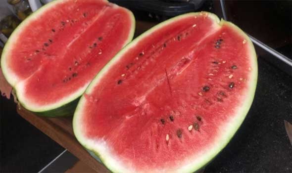 الدار البيضاء اليوم  - قواعد الإتيكيت الخاصة بأكل البطيخ