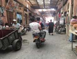 الدار البيضاء اليوم  - مياه عادمة تطوق سوق تبريكت في سلا المغربية
