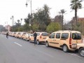 الدار البيضاء اليوم  - فرض التأشيرة يُغضب سيارات الأجرة في مليلية المحتلة