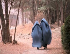 الدار البيضاء اليوم  - أميركا تعيّن مبعوثة للدفاع عن حقوق المرأة الأفغانية