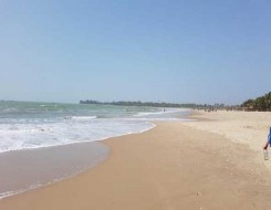 الدار البيضاء اليوم  - المغرب يطلق مشروعاً فلاحياً ضخماً في الداخلة للسقي بمياه البحر