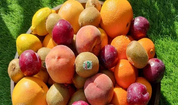 الدار البيضاء اليوم  - فوائد مذهلة للبرتقال الأحمر أبرزها نزُول الوزن