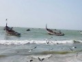 الدار البيضاء اليوم  - الحكومة العمانية توقع 3 اتفاقيات لتنمية القطاع السمكي بأكثر من 5.7 مليون ريال عُماني