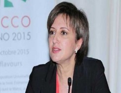 الدار البيضاء اليوم  - عمور تؤكد أن وزارة السياحة تكرس العربية وتعمل على إدماج اللغة الأمازيغية تدريجيًا انسجامًا مع الدستور