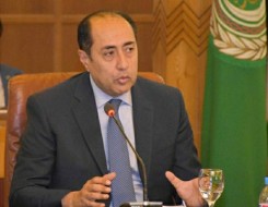 الدار البيضاء اليوم  - حسام زكي يؤكد أن هدف زيارته إلى لبنان هو لحل الأزمة