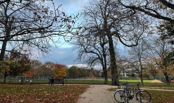 الدار البيضاء اليوم  - قضاء 15 دقيقة يوميًا في الطبيعة قد يكون الحل لتحسين حالتك النفسية